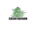 CHERRYWIFARM- The Best CBD flowers Europe -  logo